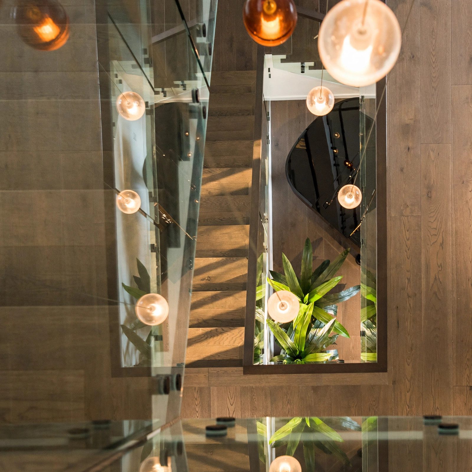 Top-down view through a glass staircase with pendant lights and greenery